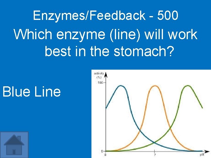 Enzymes/Feedback - 500 Which enzyme (line) will work best in the stomach? Blue Line