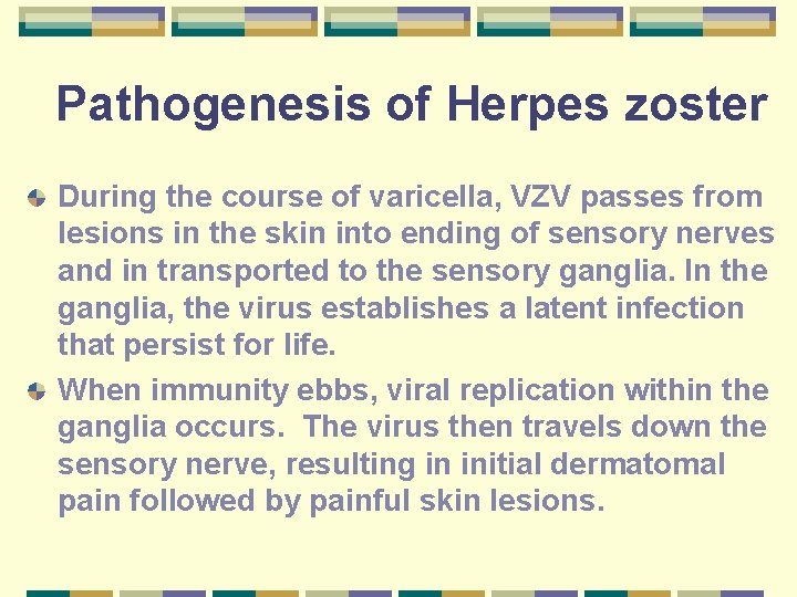 Pathogenesis of Herpes zoster During the course of varicella, VZV passes from lesions in