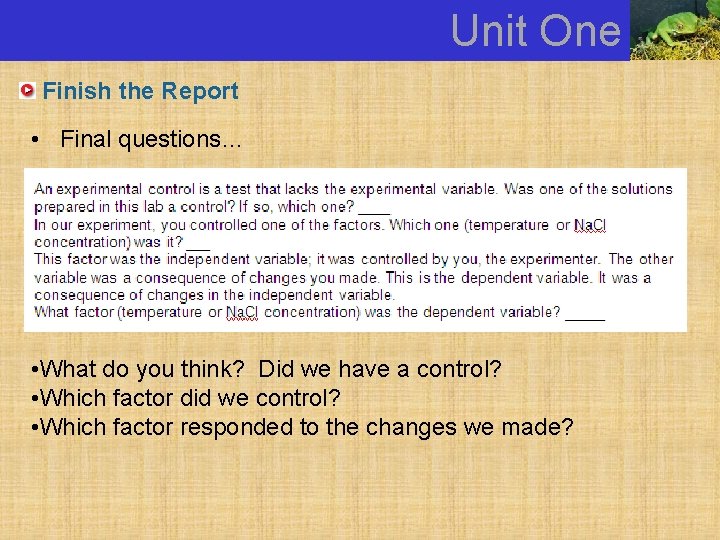 Unit One Finish the Report • Final questions… • What do you think? Did