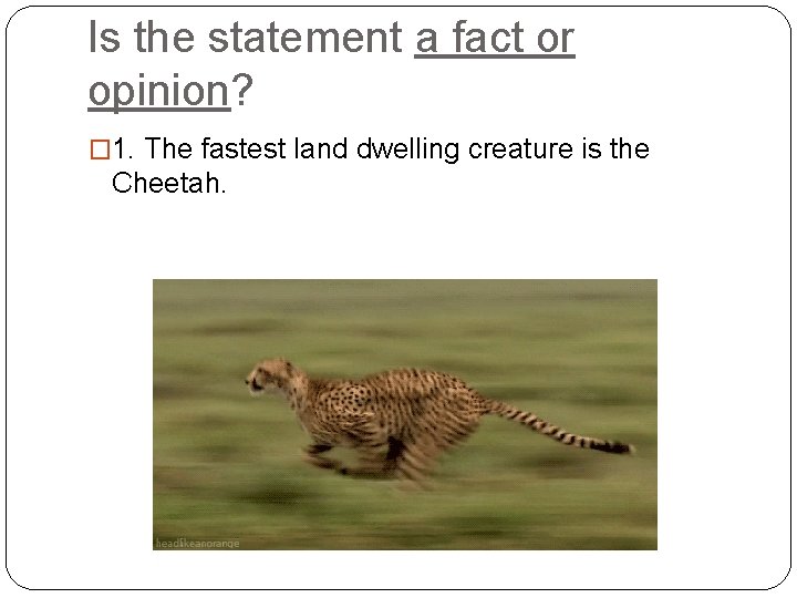 Is the statement a fact or opinion? � 1. The fastest land dwelling creature