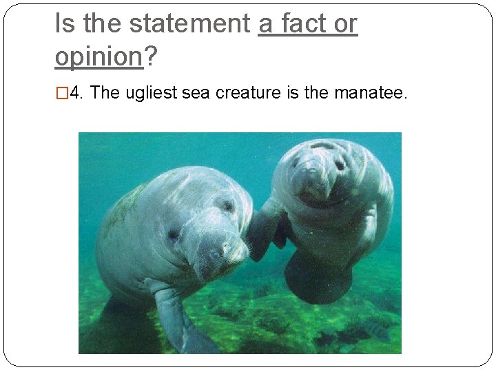 Is the statement a fact or opinion? � 4. The ugliest sea creature is