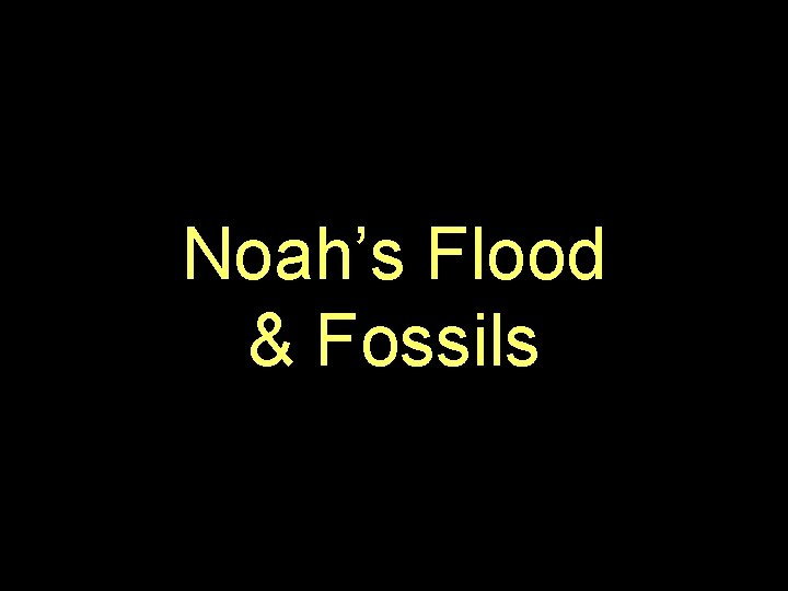 Noah’s Flood & Fossils 