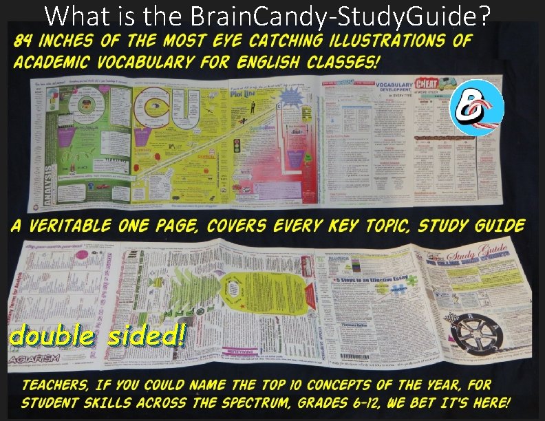 What is the Brain. Candy-Study. Guide? double sided! 
