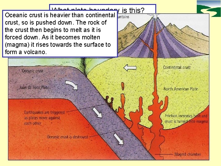 What plate boundary is this? Oceanic crust is heavier than continental crust, so is