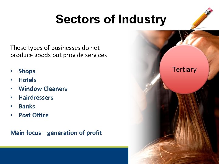 Sectors of Industry These types of businesses do not produce goods but provide services