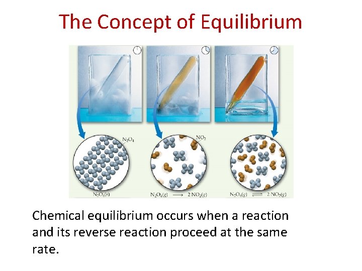 The Concept of Equilibrium Chemical equilibrium occurs when a reaction and its reverse reaction
