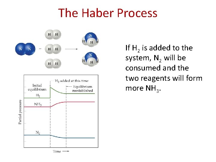 The Haber Process If H 2 is added to the system, N 2 will