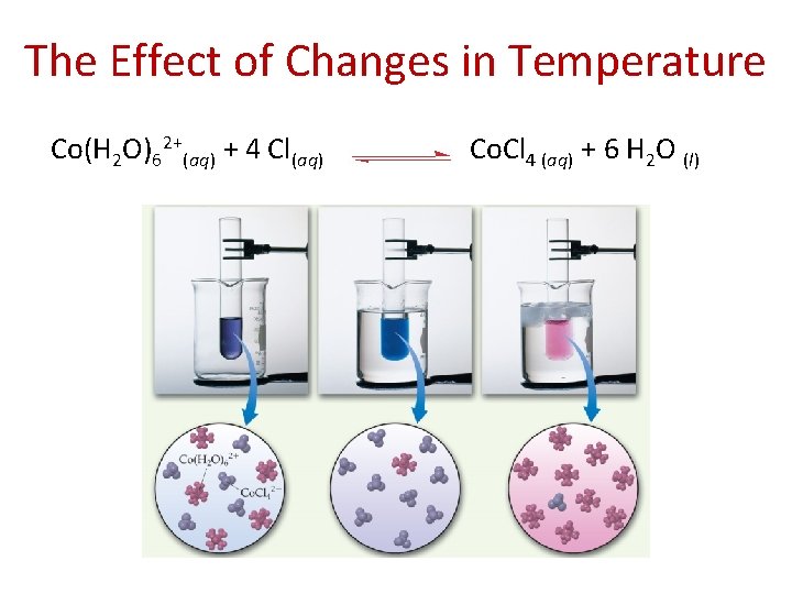 The Effect of Changes in Temperature Co(H 2 O)62+(aq) + 4 Cl(aq) Co. Cl