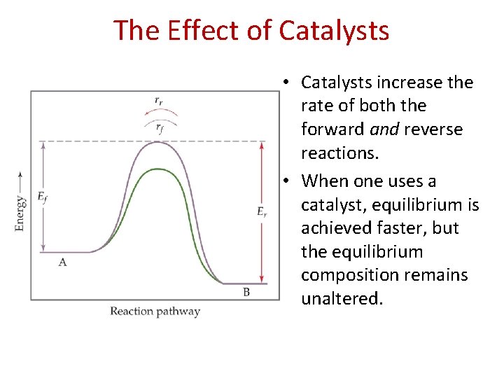 The Effect of Catalysts • Catalysts increase the rate of both the forward and