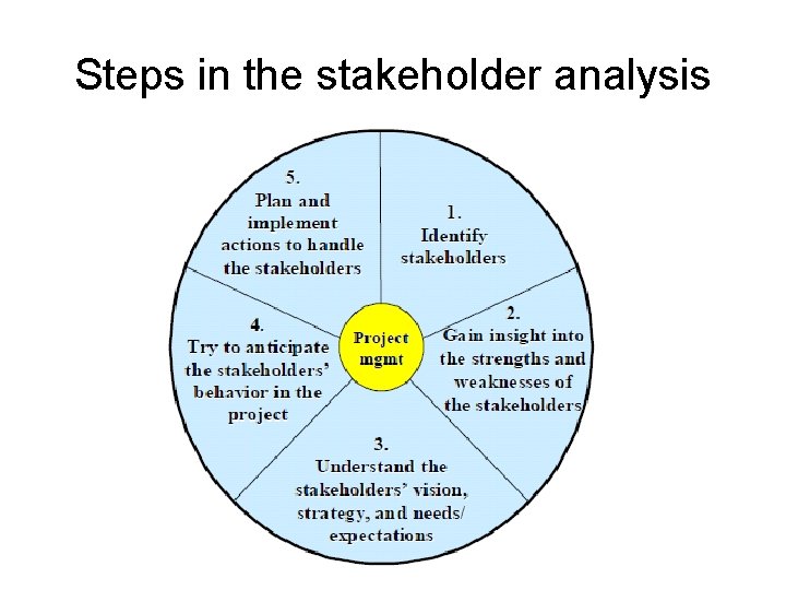Steps in the stakeholder analysis 
