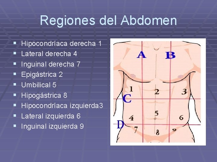 Regiones del Abdomen § § § § § Hipocondríaca derecha 1 Lateral derecha 4