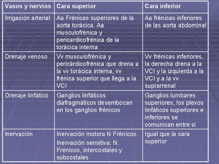 Vasos y nervios Cara superior Cara inferior Irrigación arterial Aa Frénicas superiores de la