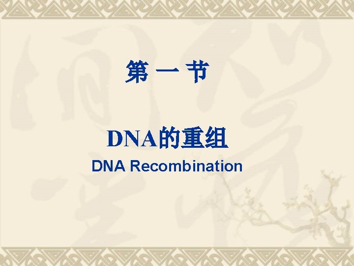 第一节 DNA的重组 DNA Recombination 