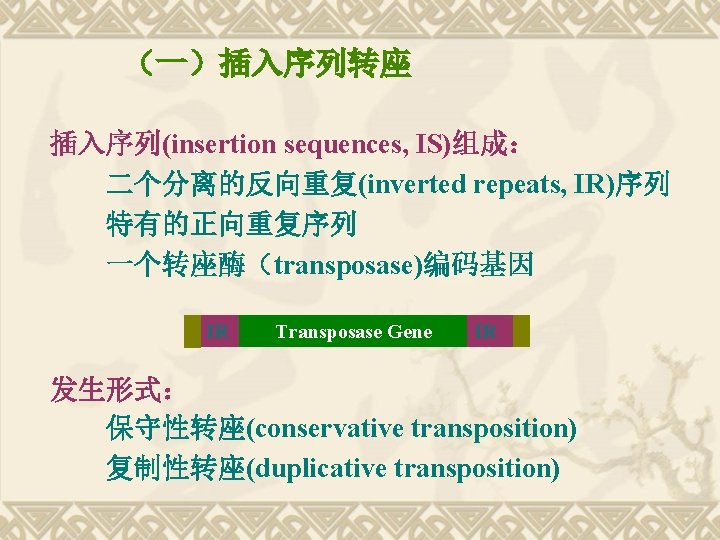 （一）插入序列转座 插入序列(insertion sequences, IS)组成： 二个分离的反向重复(inverted repeats, IR)序列 特有的正向重复序列 一个转座酶（transposase)编码基因 IR Transposase Gene IR 发生形式：