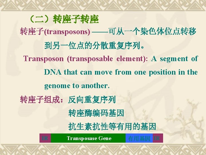 （二）转座子转座 转座子(transposons) ——可从一个染色体位点转移 到另一位点的分散重复序列。 Transposon (transposable element): A segment of DNA that can move