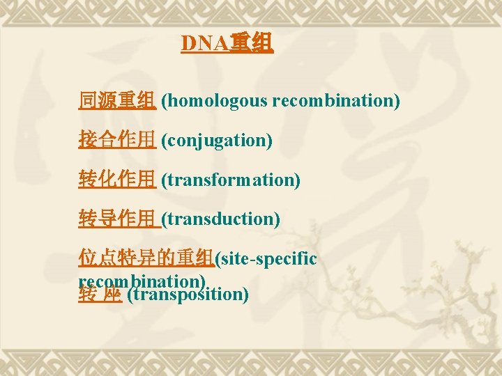 DNA重组 同源重组 (homologous recombination) 接合作用 (conjugation) 转化作用 (transformation) 转导作用 (transduction) 位点特异的重组(site-specific recombination) 转 座
