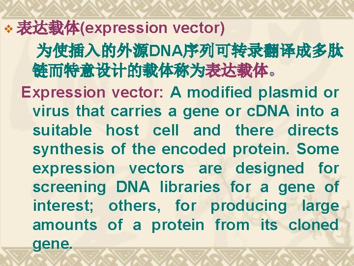 vector) 为使插入的外源DNA序列可转录翻译成多肽 链而特意设计的载体称为表达载体。 Expression vector: A modified plasmid or virus that carries a gene