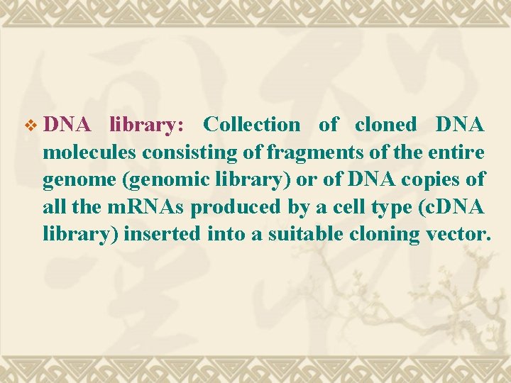 v DNA library: Collection of cloned DNA molecules consisting of fragments of the entire