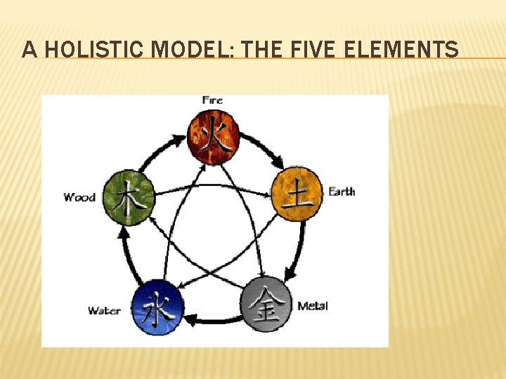 A HOLISTIC MODEL: THE FIVE ELEMENTS 