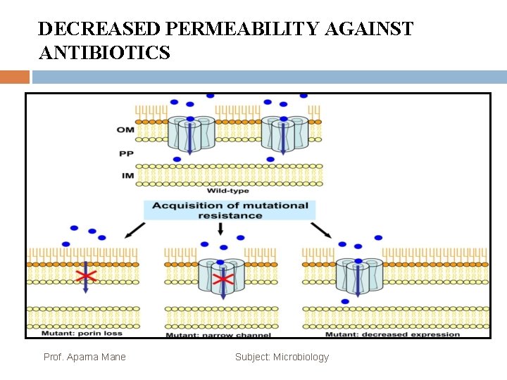 DECREASED PERMEABILITY AGAINST ANTIBIOTICS Prof. Aparna Mane Subject: Microbiology 