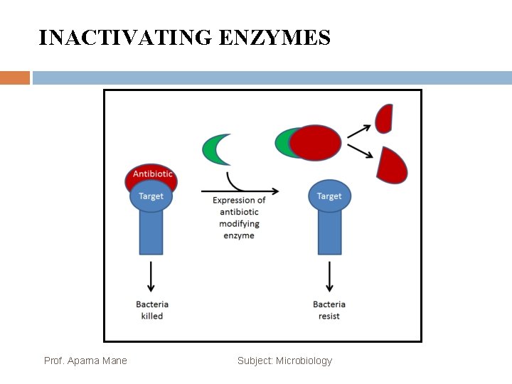 INACTIVATING ENZYMES Prof. Aparna Mane Subject: Microbiology 