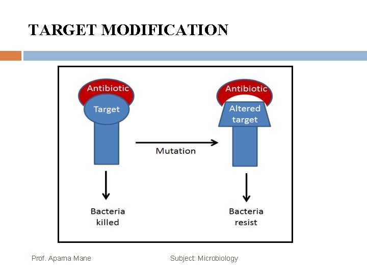 TARGET MODIFICATION Prof. Aparna Mane Subject: Microbiology 