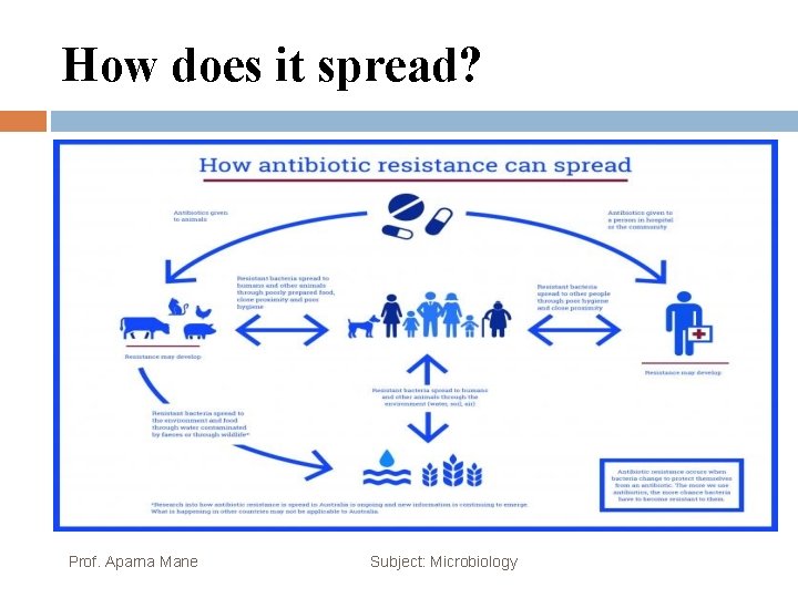 How does it spread? Prof. Aparna Mane Subject: Microbiology 