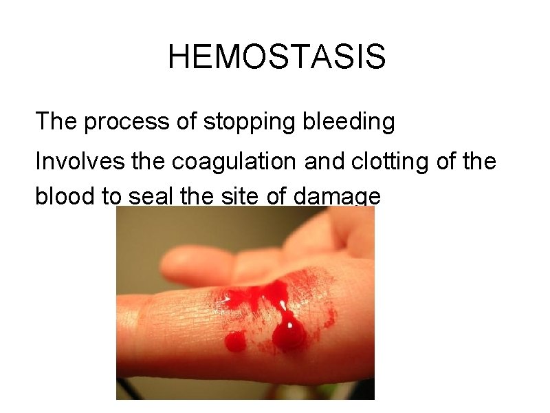 HEMOSTASIS The process of stopping bleeding Involves the coagulation and clotting of the blood
