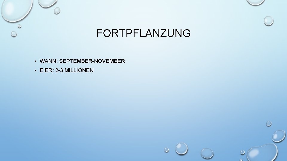 FORTPFLANZUNG • WANN: SEPTEMBER-NOVEMBER • EIER: 2 -3 MILLIONEN 