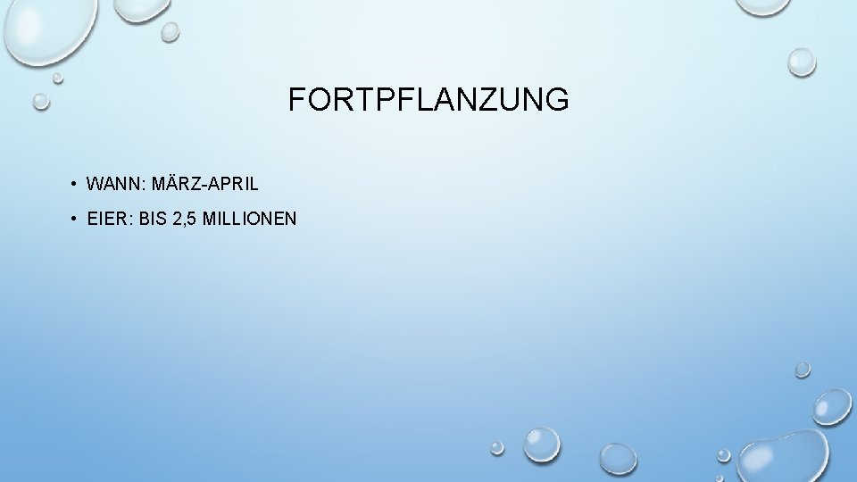 FORTPFLANZUNG • WANN: MÄRZ-APRIL • EIER: BIS 2, 5 MILLIONEN 