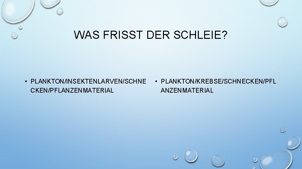 WAS FRISST DER SCHLEIE? • PLANKTON/INSEKTENLARVEN/SCHNE CKEN/PFLANZENMATERIAL • PLANKTON/KREBSE/SCHNECKEN/PFL ANZENMATERIAL 