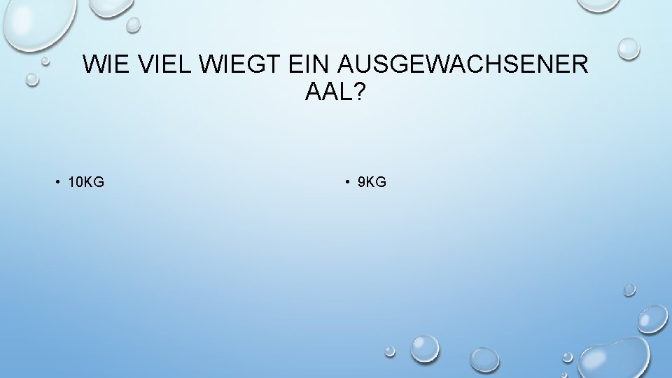 WIE VIEL WIEGT EIN AUSGEWACHSENER AAL? • 10 KG • 9 KG 