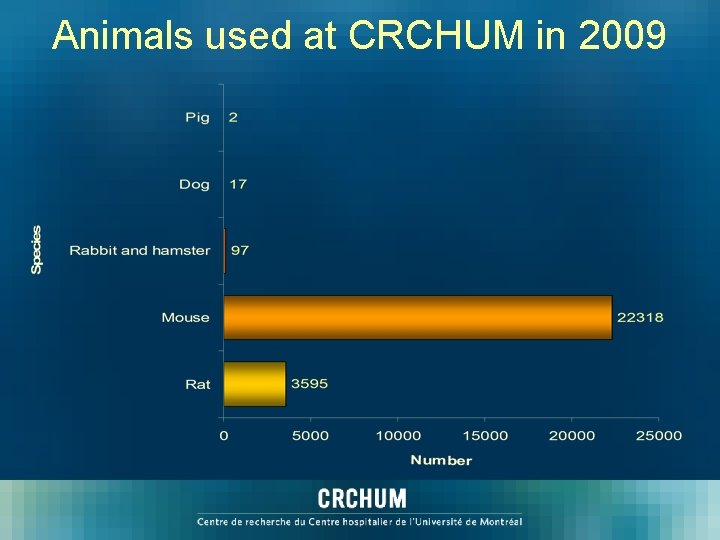 Animals used at CRCHUM in 2009 