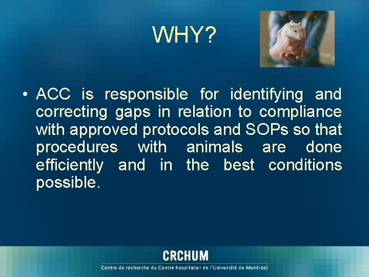 WHY? • ACC is responsible for identifying and correcting gaps in relation to compliance