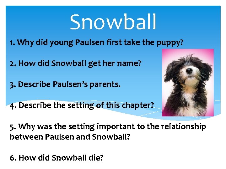 Snowball 1. Why did young Paulsen first take the puppy? 2. How did Snowball