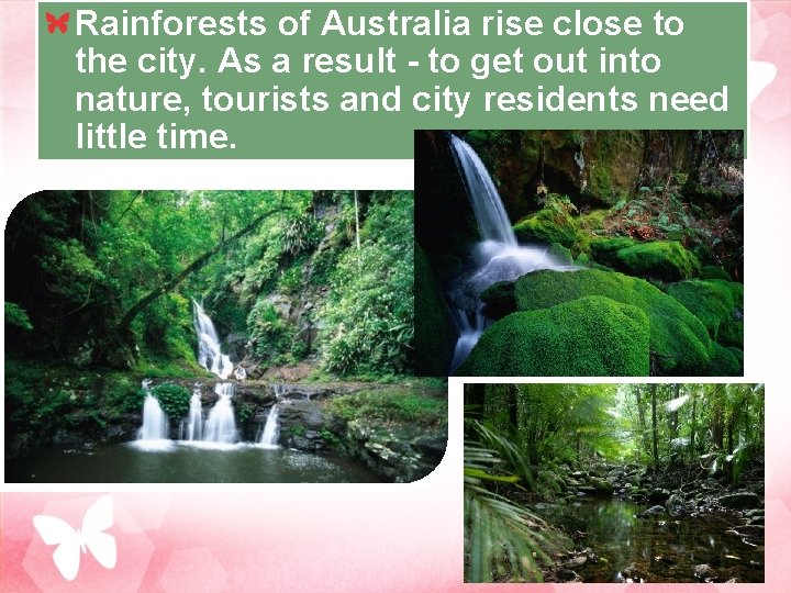 Rainforests of Australia rise close to the city. As a result - to get