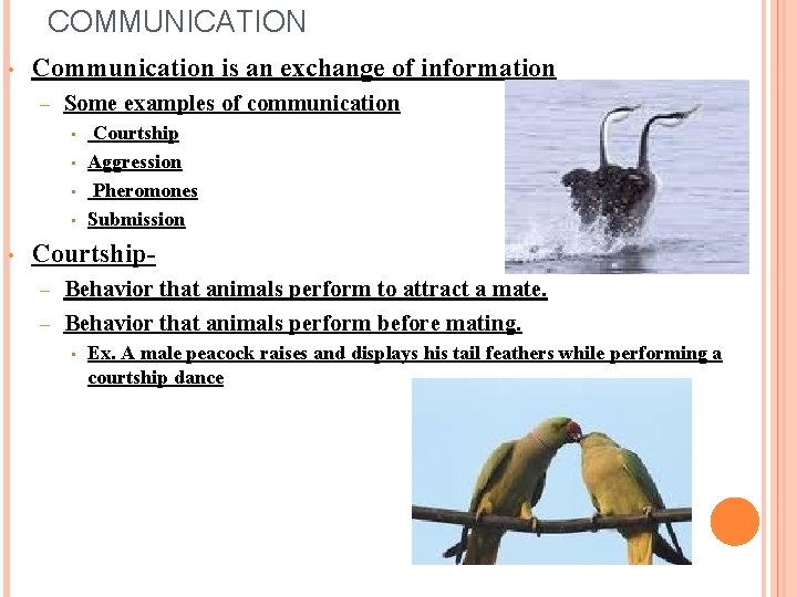 COMMUNICATION • Communication is an exchange of information – Some examples of communication •