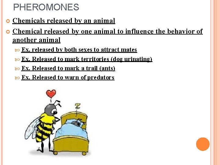 PHEROMONES Chemicals released by an animal Chemical released by one animal to influence the