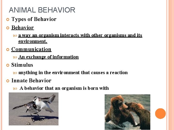 ANIMAL BEHAVIOR Types of Behavior a way an organism interacts with other organisms and