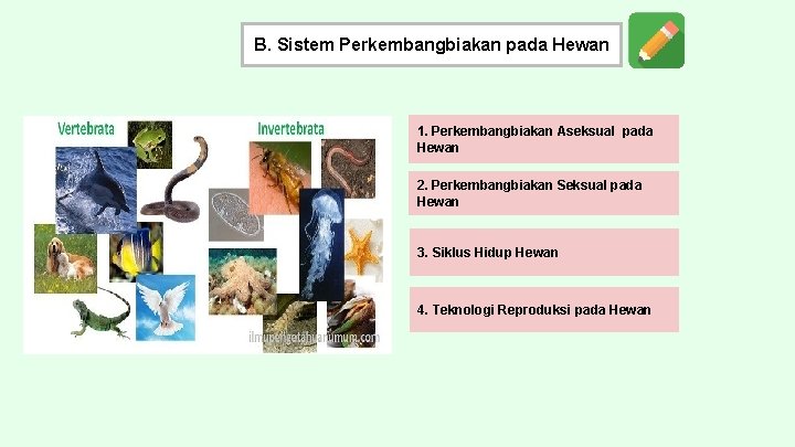 B. Sistem Perkembangbiakan pada Hewan 1. Perkembangbiakan Aseksual pada Hewan 2. Perkembangbiakan Seksual pada