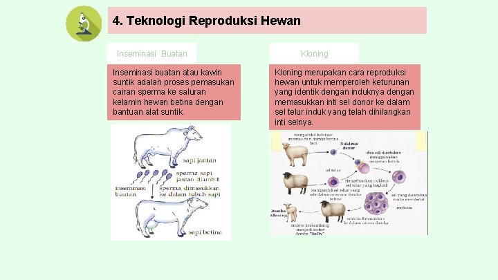 4. Teknologi Reproduksi Hewan Inseminasi Buatan Inseminasi buatan atau kawin suntik adalah proses pemasukan