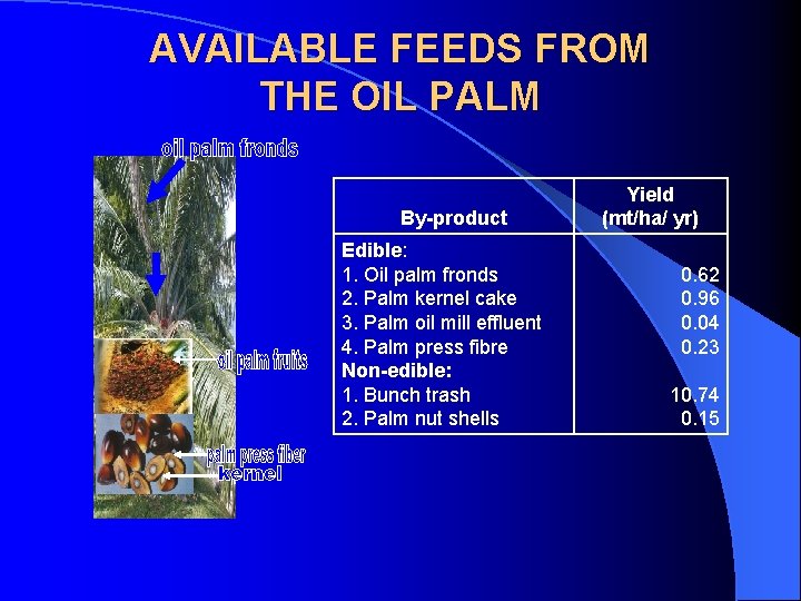 AVAILABLE FEEDS FROM THE OIL PALM By-product Edible: 1. Oil palm fronds 2. Palm