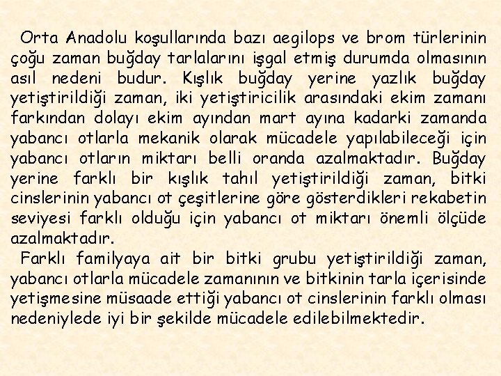 Orta Anadolu koşullarında bazı aegilops ve brom türlerinin çoğu zaman buğday tarlalarını işgal etmiş