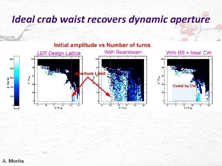 Ideal crab waist recovers dynamic aperture A. Morita 