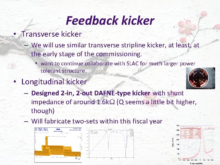 Feedback kicker • Transverse kicker – We will use similar transverse stripline kicker, at