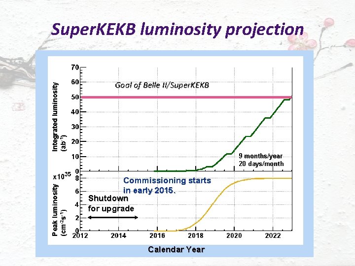 Integrated luminosity (ab-1) Super. KEKB luminosity projection Goal of Belle II/Super. KEKB Peak luminosity