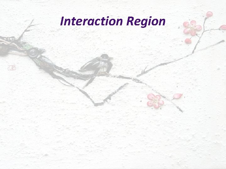 Interaction Region 