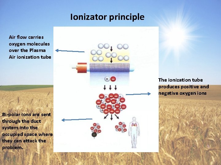 Ionizator principle Air flow carries oxygen molecules over the Plasma Air ionization tube The