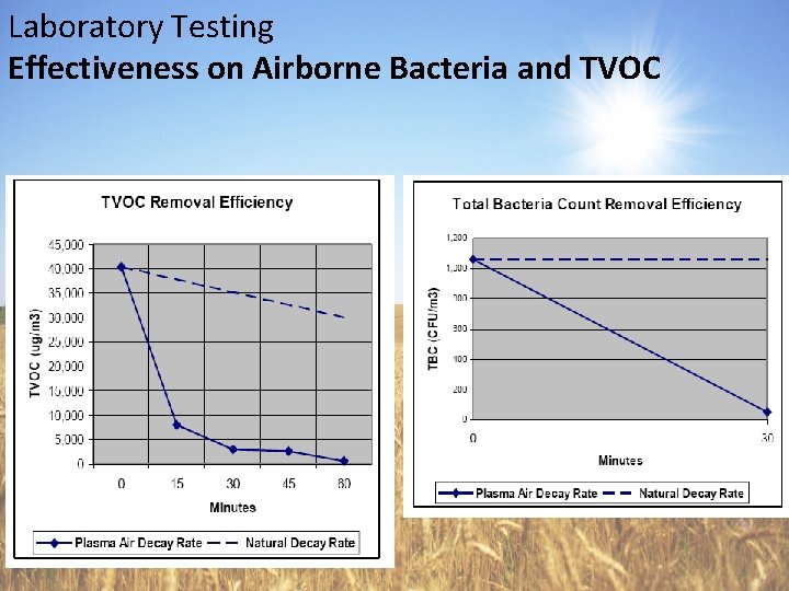 Laboratory Testing Effectiveness on Airborne Bacteria and TVOC 