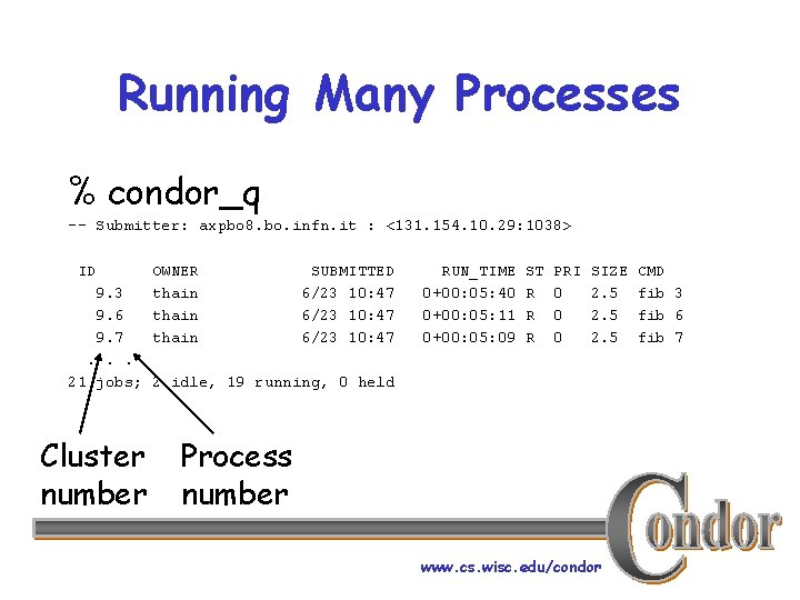 Running Many Processes % condor_q -- Submitter: axpbo 8. bo. infn. it : <131.